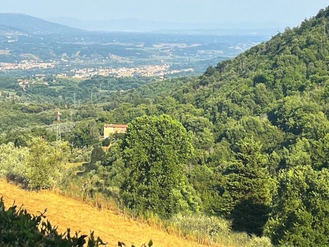 Immobile rif. VRCP237 a Figline E Incisa Valdarno  - Immagine 49